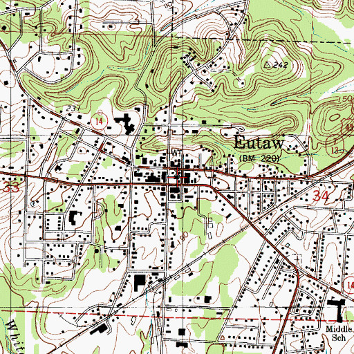 Topographic Map of Greene County Courthouse Square Historic District, AL