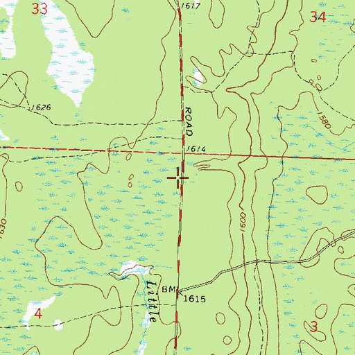 Topographic Map of Town of Lynne, WI