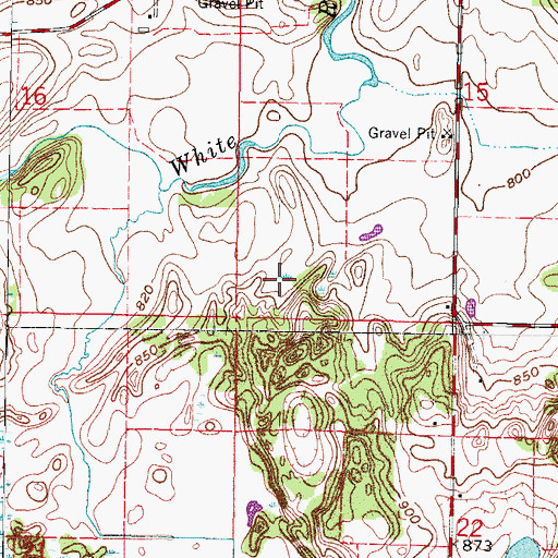 Topographic Map of Town of Lyons, WI