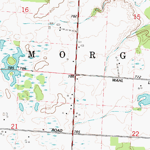 Topographic Map of Town of Morgan, WI