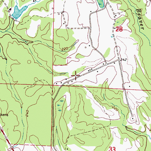 Topographic Map of True Vine Church, AL