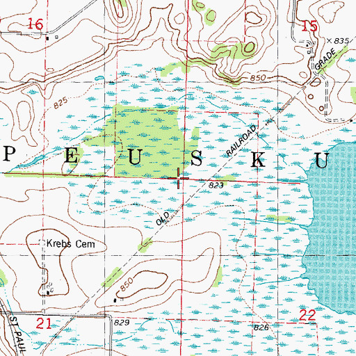Topographic Map of Town of Nepeuskun, WI