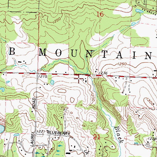 Topographic Map of Town of Rib Mountain, WI