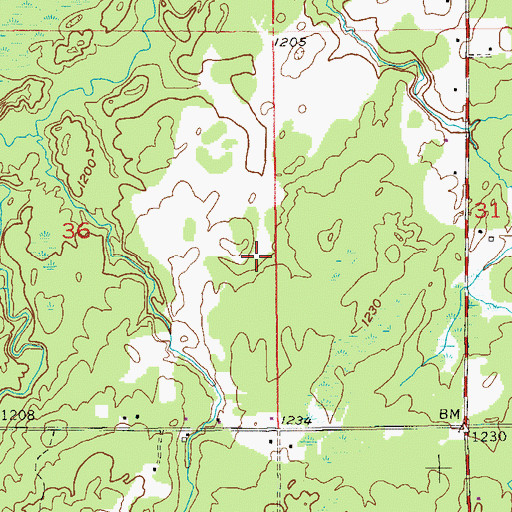 Topographic Map of Town of Summit, WI