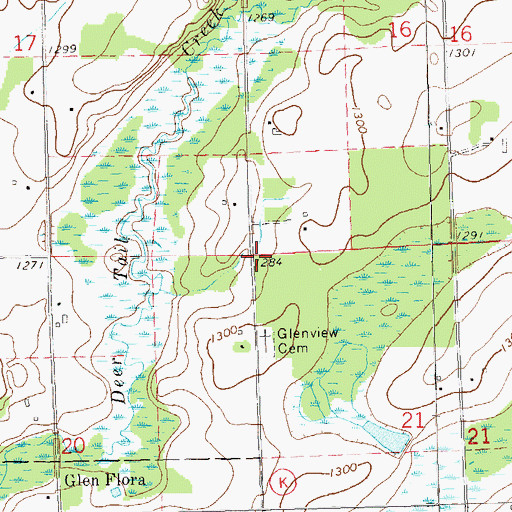 Topographic Map of Town of True, WI