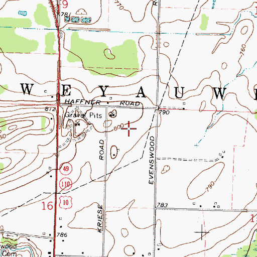 Topographic Map of Town of Weyauwega, WI