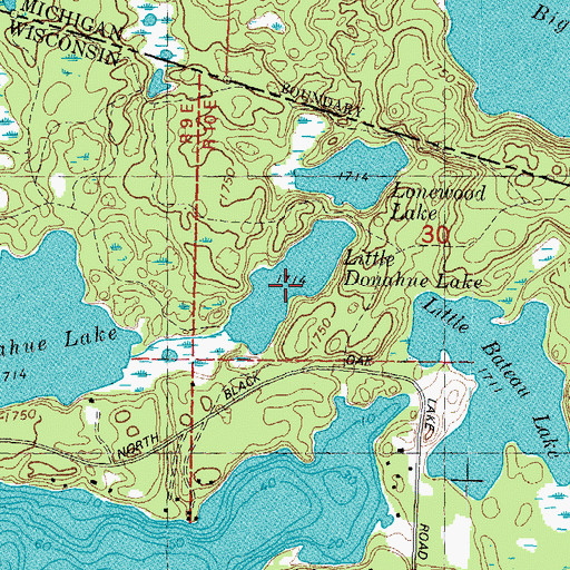 Topographic Map of Little Donahue Lake, WI