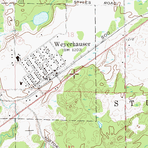 Topographic Map of Weyerhaeuser, WI
