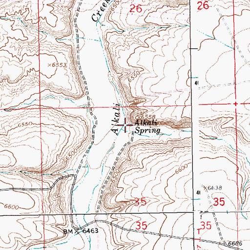 Topographic Map of Alkali Spring, WY