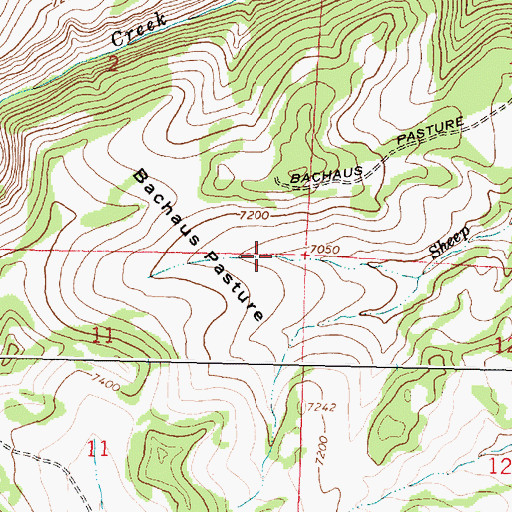 Topographic Map of Bachaus Pasture, WY