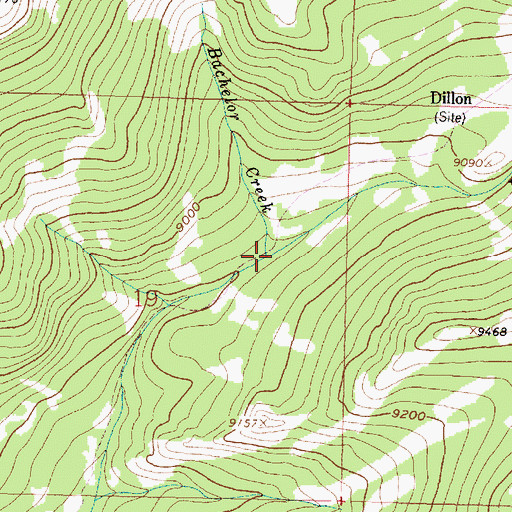 Topographic Map of Bachelor Creek, WY