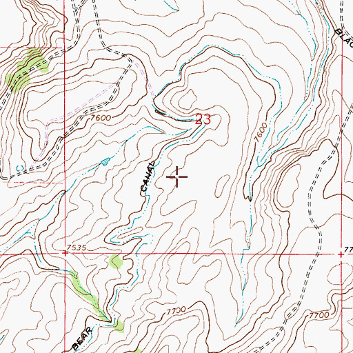 Topographic Map of Bear Canal, WY