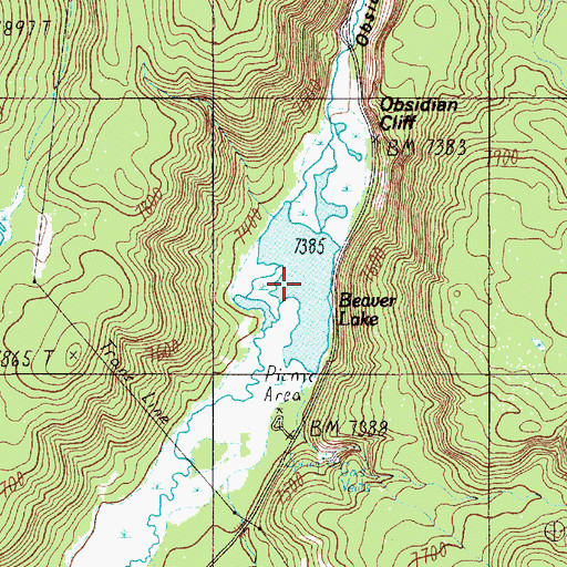 Topographic Map of Beaver Lake, WY