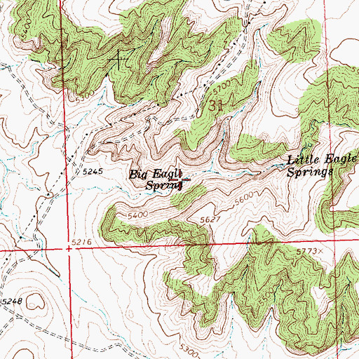 Topographic Map of Big Eagle Spring, WY