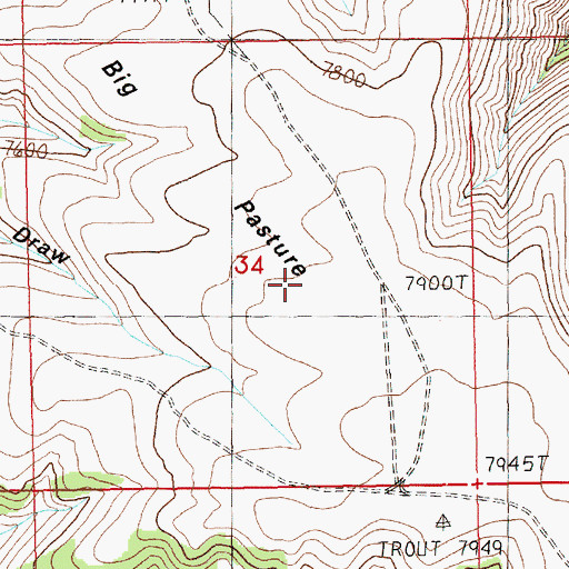 Topographic Map of Big Pasture, WY