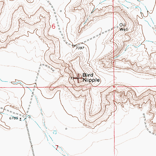 Topographic Map of Bird Nipple, WY