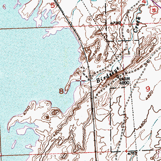 Topographic Map of Birdseye Creek, WY