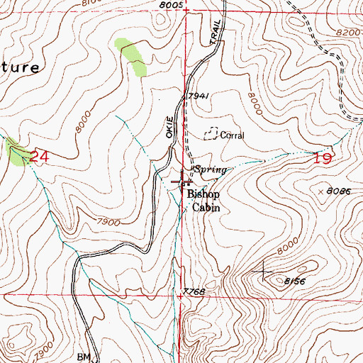 Topographic Map of Bishop Cabin, WY