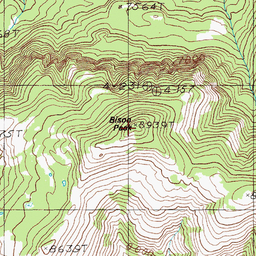 Topographic Map of Bison Peak, WY
