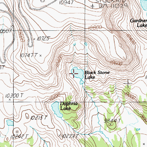 Topographic Map of Black Stone Lake, WY