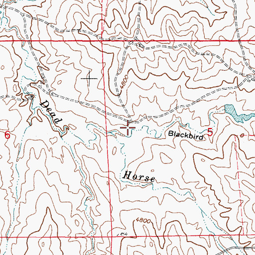 Topographic Map of Blackbird Draw, WY