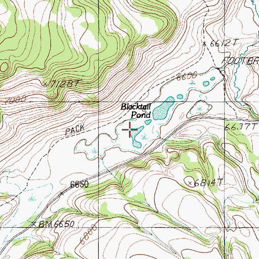 Topographic Map of Blacktail Pond, WY