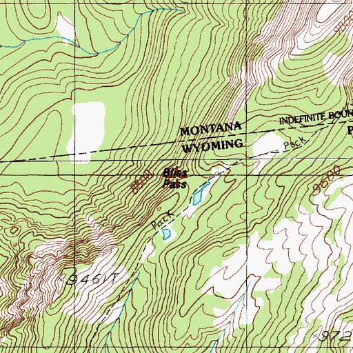 Topographic Map of Bliss Pass, WY
