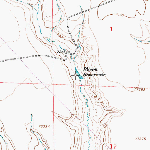 Topographic Map of Bloom Reservoir, WY