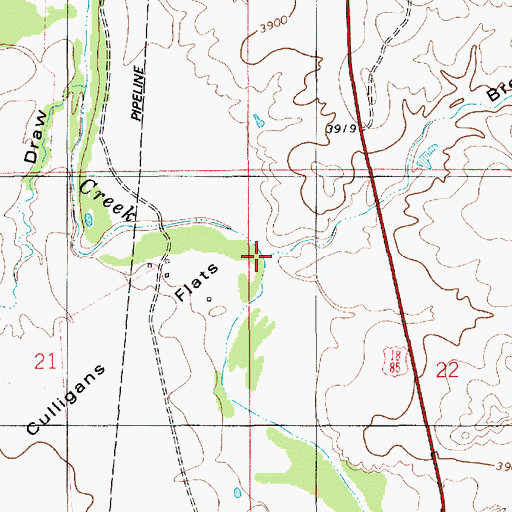 Topographic Map of Brewster Draw, WY