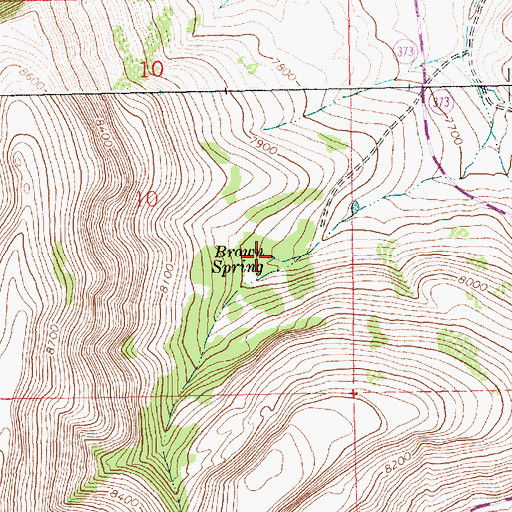 Topographic Map of Brown Spring, WY