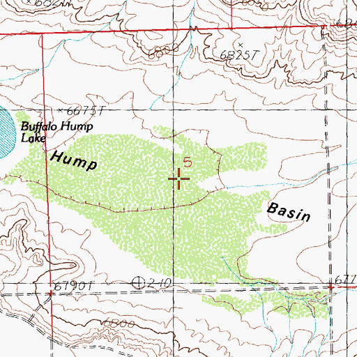 Topographic Map of Buffalo Hump Lake, WY