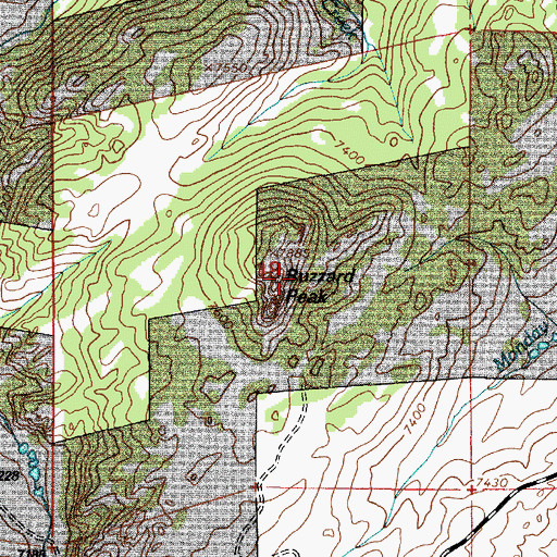 Topographic Map of Buzzard Peak, WY