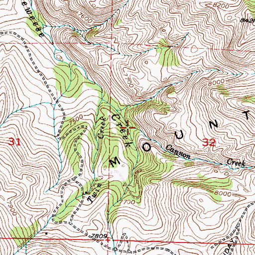 Topographic Map of Cannon Creek, WY