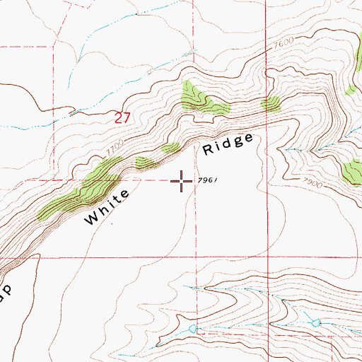 Topographic Map of Cap White Ridge, WY