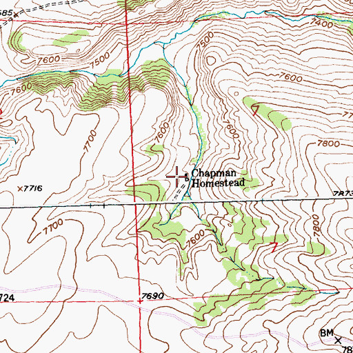 Topographic Map of Chapman Homestead, WY