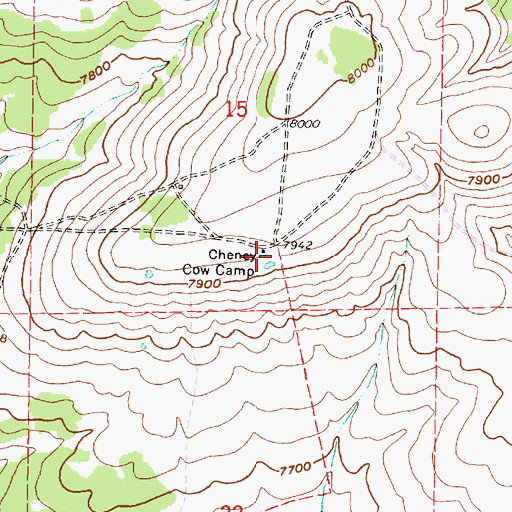 Topographic Map of Cheney Cow Camp, WY