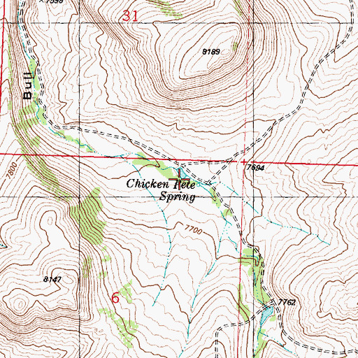 Topographic Map of Chicken Pete Spring, WY