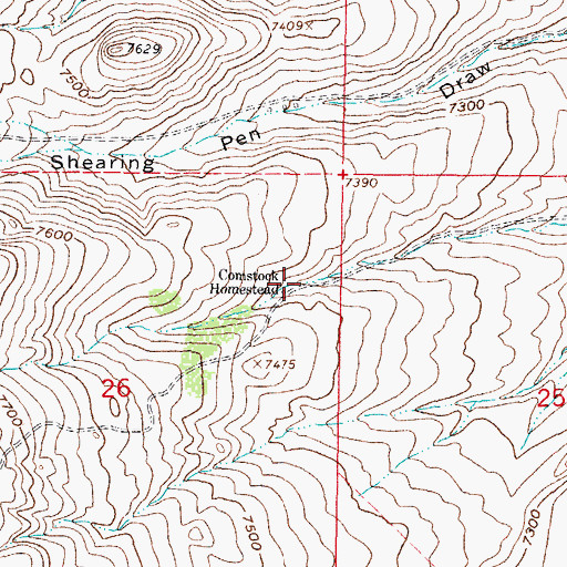 Topographic Map of Comstock Homestead, WY