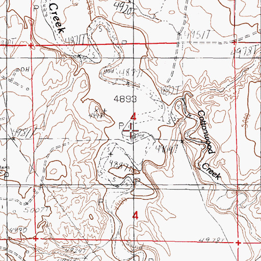 Topographic Map of Cottonwood Creek, WY