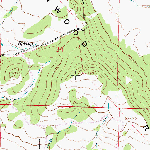 Topographic Map of Cottonwood Rim, WY