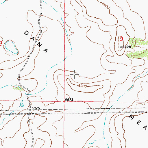 Topographic Map of Dana Meadows, WY