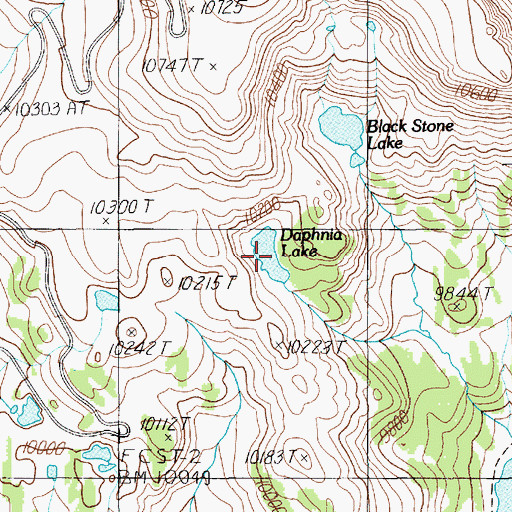Topographic Map of Daphnia Lake, WY