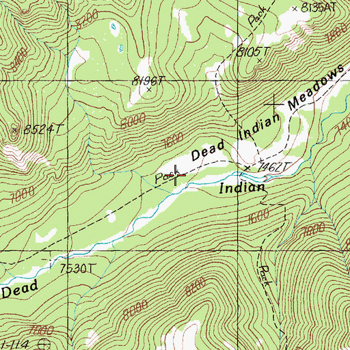 Topographic Map of Dead Indian Meadows, WY