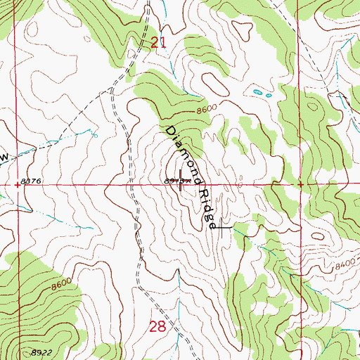 Topographic Map of Diamond Ridge, WY