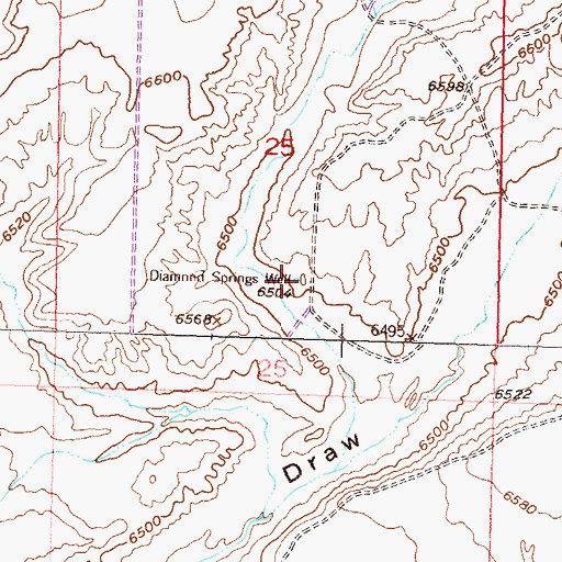 Topographic Map of Diamond Springs Well, WY