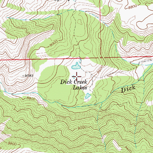 Topographic Map of Dick Creek Lakes, WY