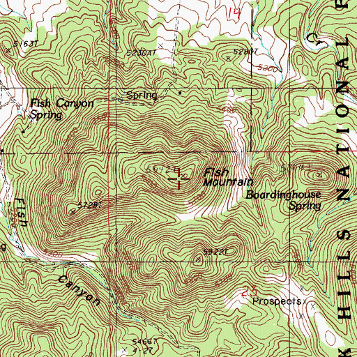 Topographic Map of Fish Mountain, WY