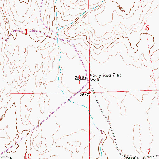 Topographic Map of Forty Rod Flat Well, WY