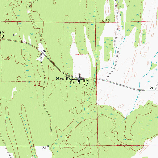 Topographic Map of New Hope Church, AL