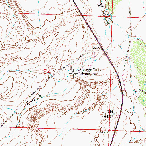 Topographic Map of George Tully Homestead, WY